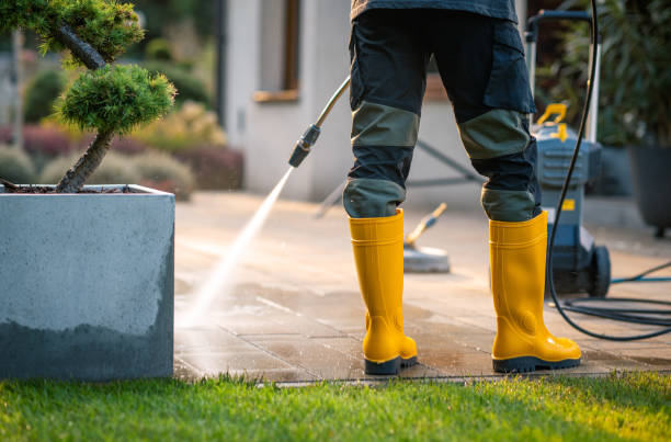 Best Deck Cleaning Services  in Excelsior Springs, MO